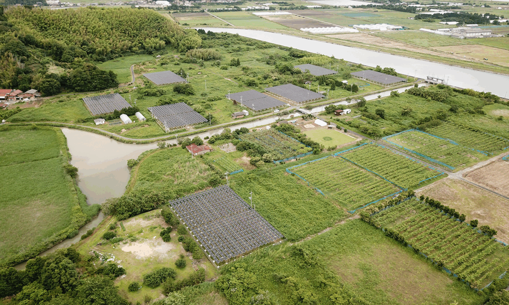 DJI_0022